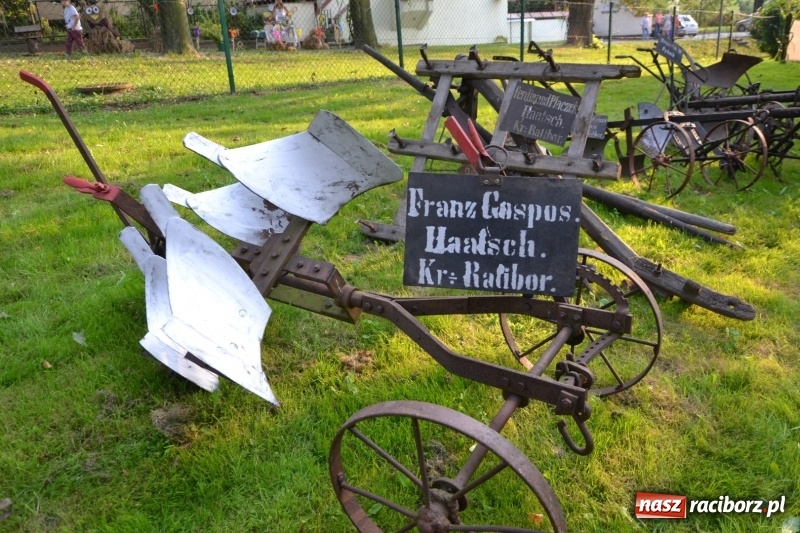 Zdjęcie w galerii na portalu naszraciborz.pl: Dożynki wojewódzkie w Tworkowie - w sobotę rozpoczęła się zabawa  wiadomości z regionu