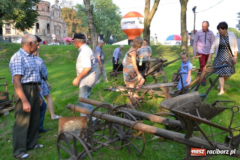 Zdjęcie w galerii na portalu naszraciborz.pl: Dożynki wojewódzkie w Tworkowie - w sobotę rozpoczęła się zabawa  wiadomości z regionu