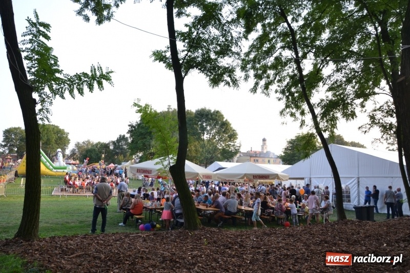 Zdjęcie w galerii na portalu naszraciborz.pl: Dożynki wojewódzkie w Tworkowie - w sobotę rozpoczęła się zabawa  wiadomości z regionu