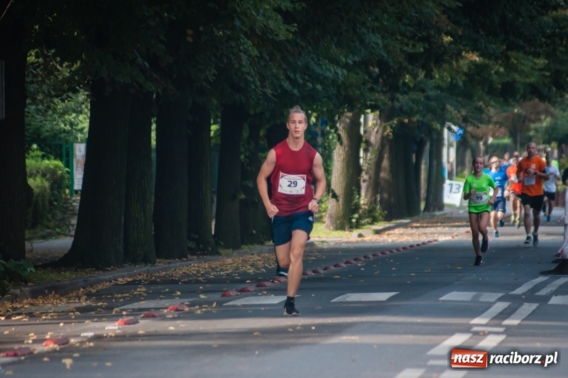 Zdjęcie w galerii na portalu naszraciborz.pl: Biegali dla Michałka, czyli raciborski Mini Półmaraton 2017 wiadomości z regionu