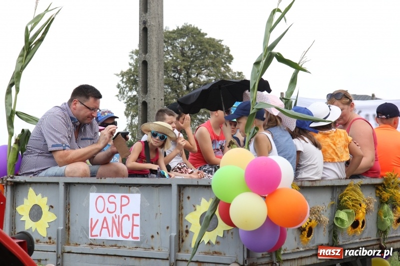 Zdjęcie w galerii na portalu naszraciborz.pl: Dożynki 2017. Łańce dziękują za plony wiadomości z regionu