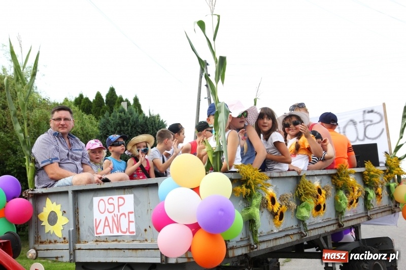 Zdjęcie w galerii na portalu naszraciborz.pl: Dożynki 2017. Łańce dziękują za plony wiadomości z regionu
