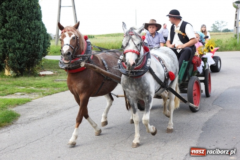 Zdjęcie w galerii na portalu naszraciborz.pl: Dożynki 2017. Łańce dziękują za plony wiadomości z regionu