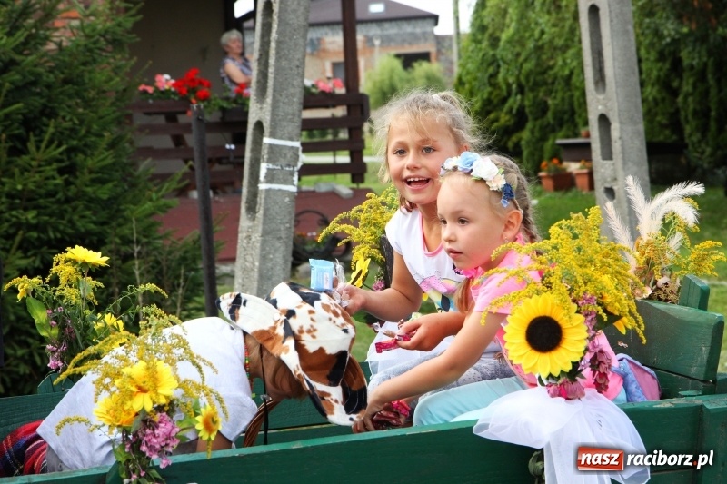 Zdjęcie w galerii na portalu naszraciborz.pl: Dożynki 2017. Łańce dziękują za plony wiadomości z regionu