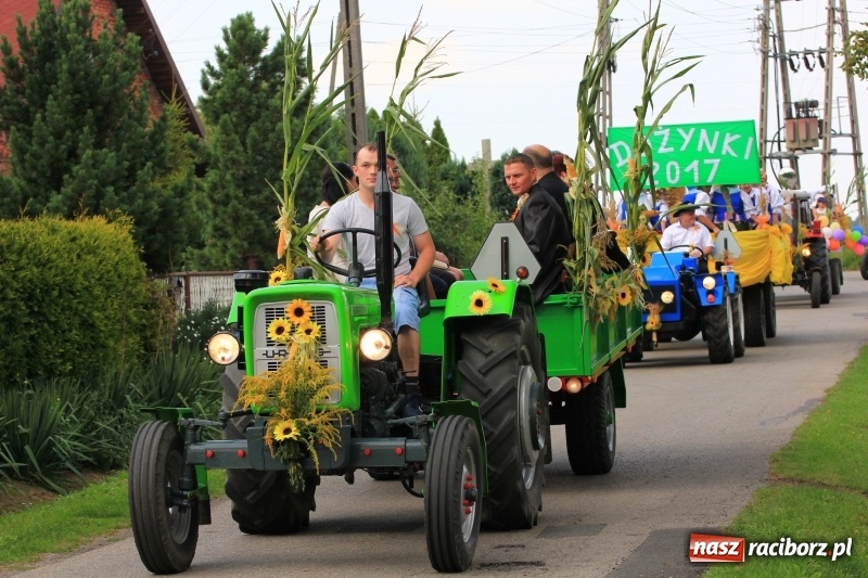 Zdjęcie w galerii na portalu naszraciborz.pl: Dożynki 2017. Łańce dziękują za plony wiadomości z regionu