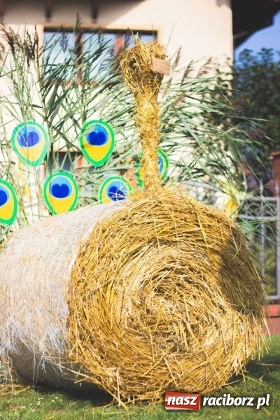 Zdjęcie w galerii na portalu naszraciborz.pl: Dożynki w Krowiarkach z historycznymi i militarnymi akcentami wiadomości z regionu