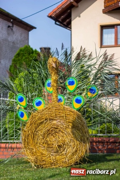 Zdjęcie w galerii na portalu naszraciborz.pl: Dożynki w Krowiarkach z historycznymi i militarnymi akcentami wiadomości z regionu