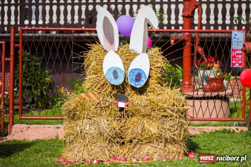 Zdjęcie w galerii na portalu naszraciborz.pl: Dożynki w Krowiarkach z historycznymi i militarnymi akcentami wiadomości z regionu