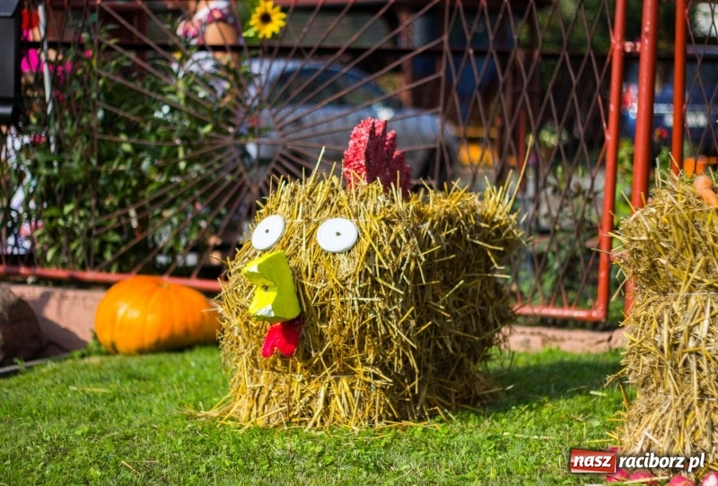 Zdjęcie w galerii na portalu naszraciborz.pl: Dożynki w Krowiarkach z historycznymi i militarnymi akcentami wiadomości z regionu