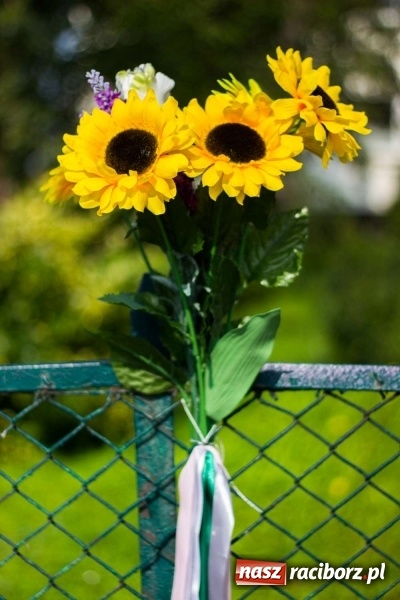 Zdjęcie w galerii na portalu naszraciborz.pl: Dożynki w Krowiarkach z historycznymi i militarnymi akcentami wiadomości z regionu