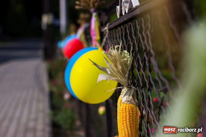 Zdjęcie w galerii na portalu naszraciborz.pl: Dożynki w Krowiarkach z historycznymi i militarnymi akcentami wiadomości z regionu