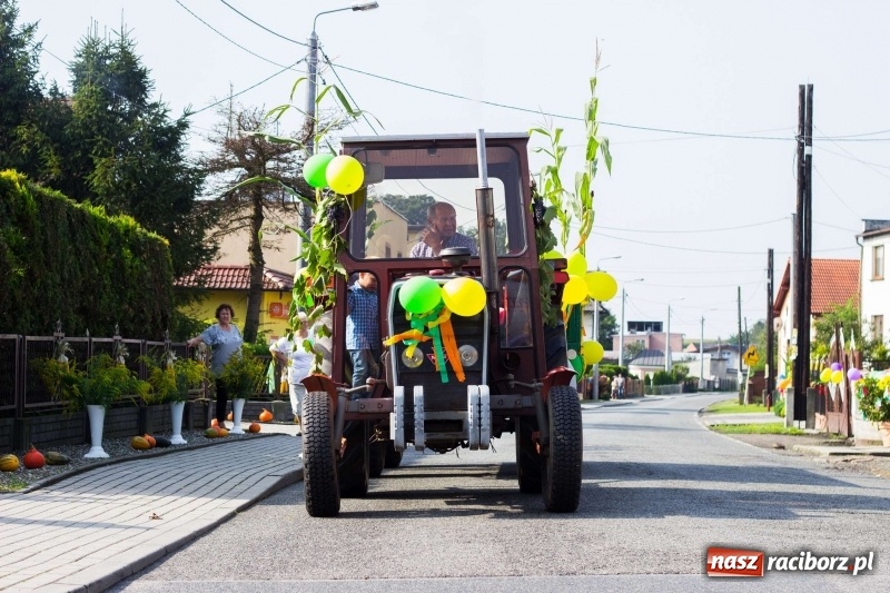 Zdjęcie w galerii na portalu naszraciborz.pl: Dożynki w Krowiarkach z historycznymi i militarnymi akcentami wiadomości z regionu