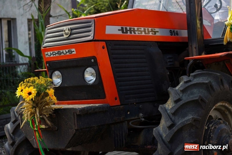 Zdjęcie w galerii na portalu naszraciborz.pl: Dożynki w Krowiarkach z historycznymi i militarnymi akcentami wiadomości z regionu