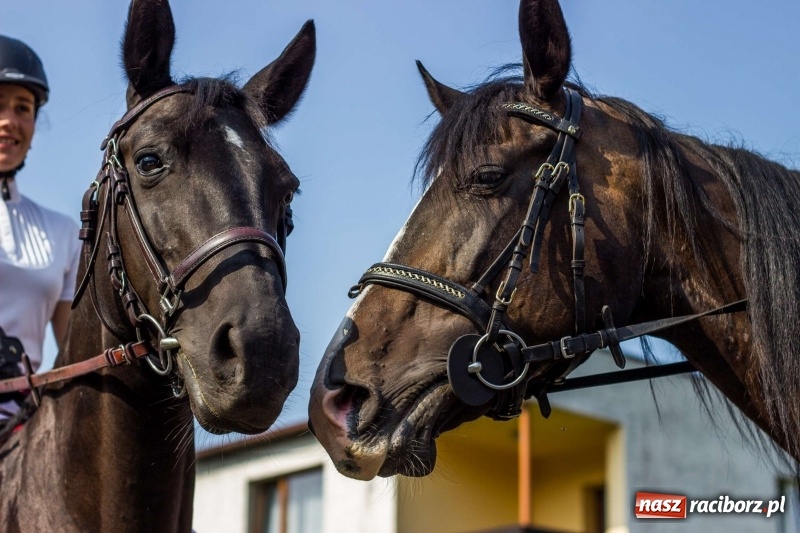 Zdjęcie w galerii na portalu naszraciborz.pl: Dożynki w Krowiarkach z historycznymi i militarnymi akcentami wiadomości z regionu