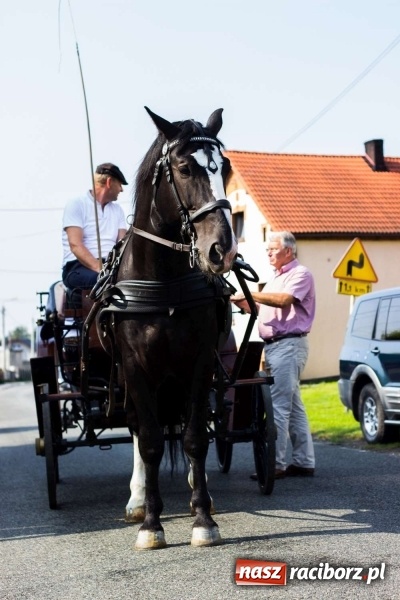 Zdjęcie w galerii na portalu naszraciborz.pl: Dożynki w Krowiarkach z historycznymi i militarnymi akcentami wiadomości z regionu