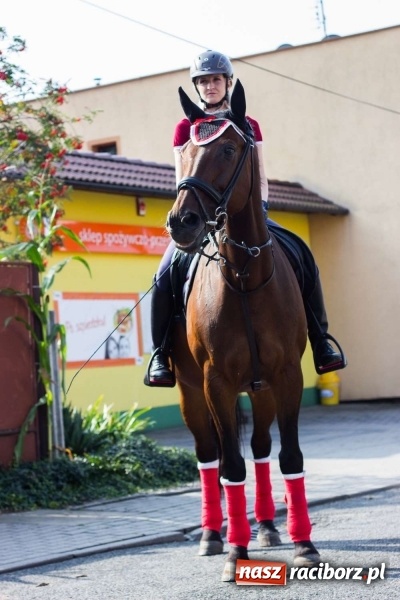 Zdjęcie w galerii na portalu naszraciborz.pl: Dożynki w Krowiarkach z historycznymi i militarnymi akcentami wiadomości z regionu