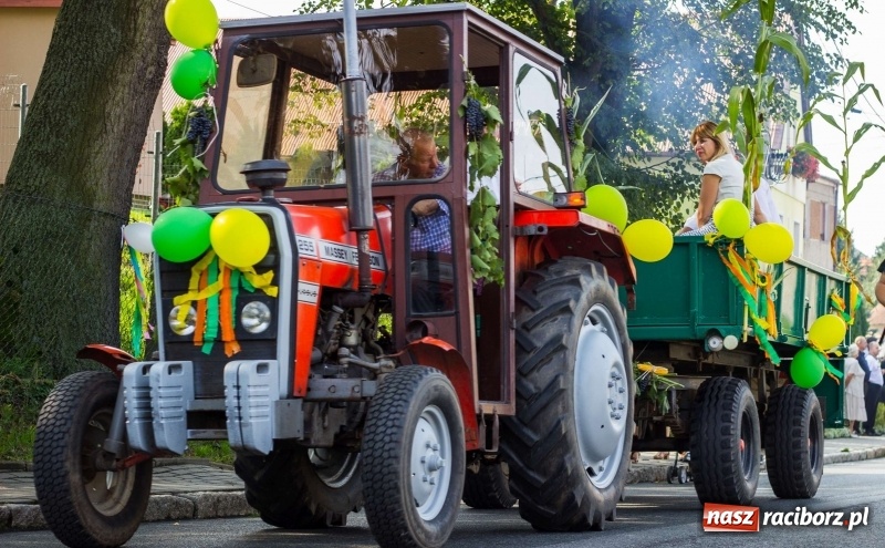 Zdjęcie w galerii na portalu naszraciborz.pl: Dożynki w Krowiarkach z historycznymi i militarnymi akcentami wiadomości z regionu