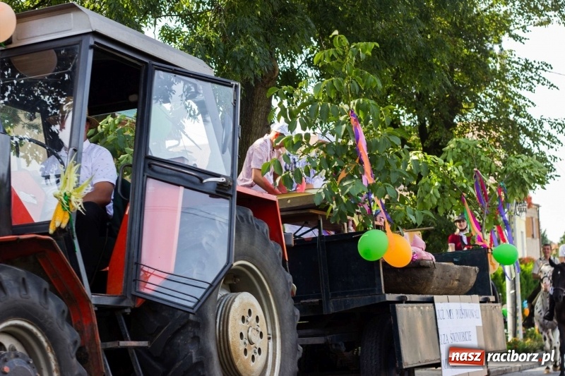 Zdjęcie w galerii na portalu naszraciborz.pl: Dożynki w Krowiarkach z historycznymi i militarnymi akcentami wiadomości z regionu