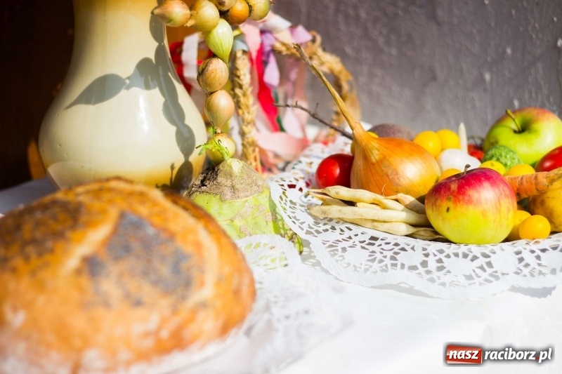 Zdjęcie w galerii na portalu naszraciborz.pl: Dożynki w Krowiarkach z historycznymi i militarnymi akcentami wiadomości z regionu