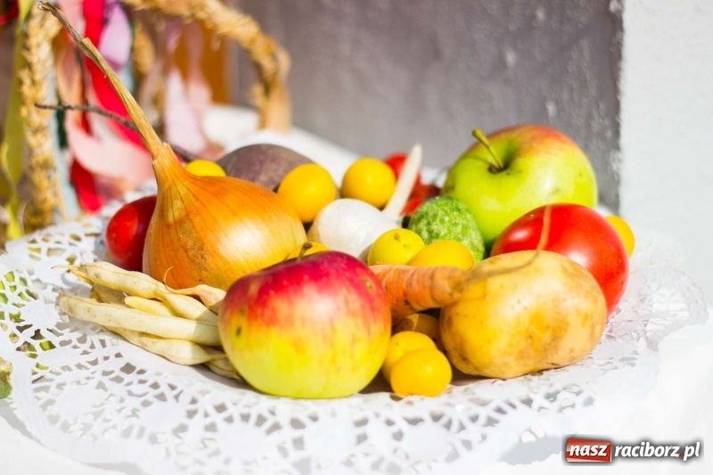 Zdjęcie w galerii na portalu naszraciborz.pl: Dożynki w Krowiarkach z historycznymi i militarnymi akcentami wiadomości z regionu