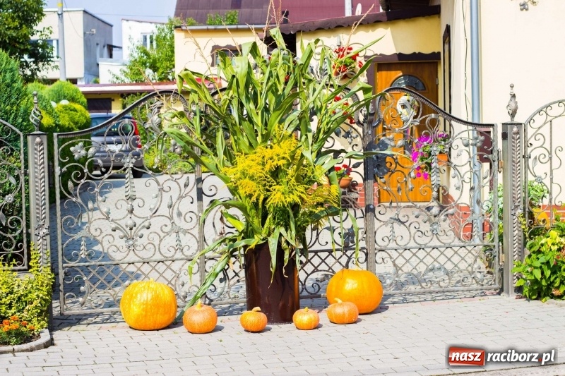 Zdjęcie w galerii na portalu naszraciborz.pl: Dożynki w Krowiarkach z historycznymi i militarnymi akcentami wiadomości z regionu