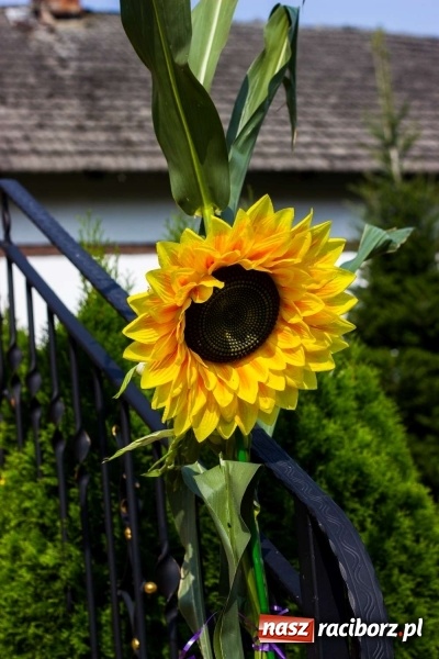 Zdjęcie w galerii na portalu naszraciborz.pl: Dożynki w Krowiarkach z historycznymi i militarnymi akcentami wiadomości z regionu