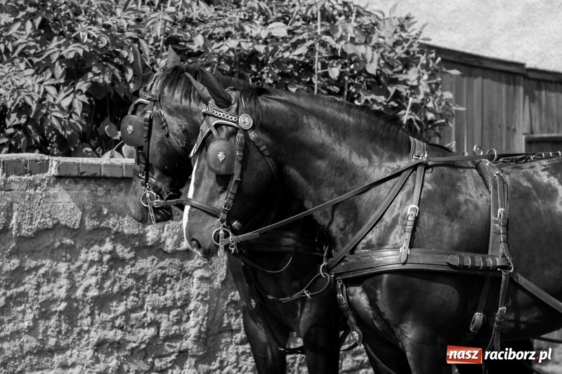 Zdjęcie w galerii na portalu naszraciborz.pl: Dożynki 2017. Skromnie, ale kolorowo w Żerdzinach  wiadomości z regionu