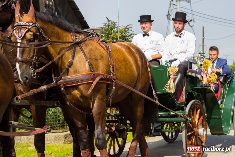 Zdjęcie w galerii na portalu naszraciborz.pl: Dożynki 2017. Skromnie, ale kolorowo w Żerdzinach  wiadomości z regionu