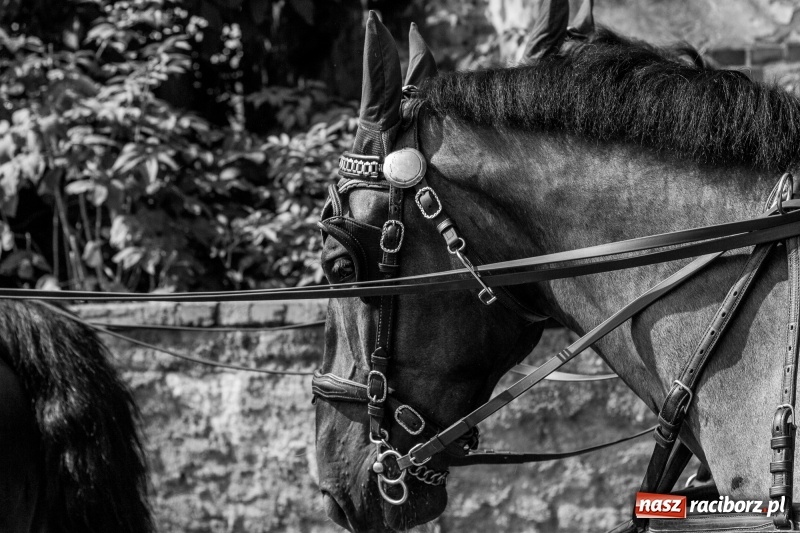 Zdjęcie w galerii na portalu naszraciborz.pl: Dożynki 2017. Skromnie, ale kolorowo w Żerdzinach  wiadomości z regionu