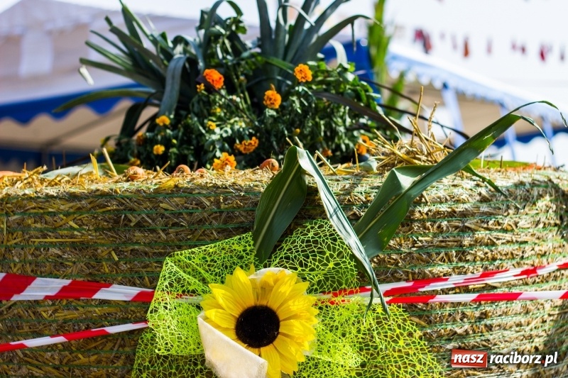 Zdjęcie w galerii na portalu naszraciborz.pl: Dożynki 2017. Skromnie, ale kolorowo w Żerdzinach  wiadomości z regionu