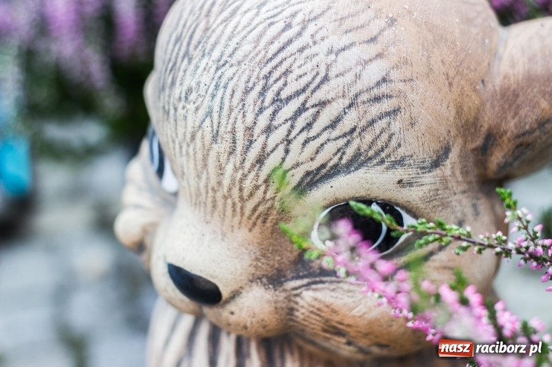 Zdjęcie w galerii na portalu naszraciborz.pl: Dożynki 2017. Skromnie, ale kolorowo w Żerdzinach  wiadomości z regionu