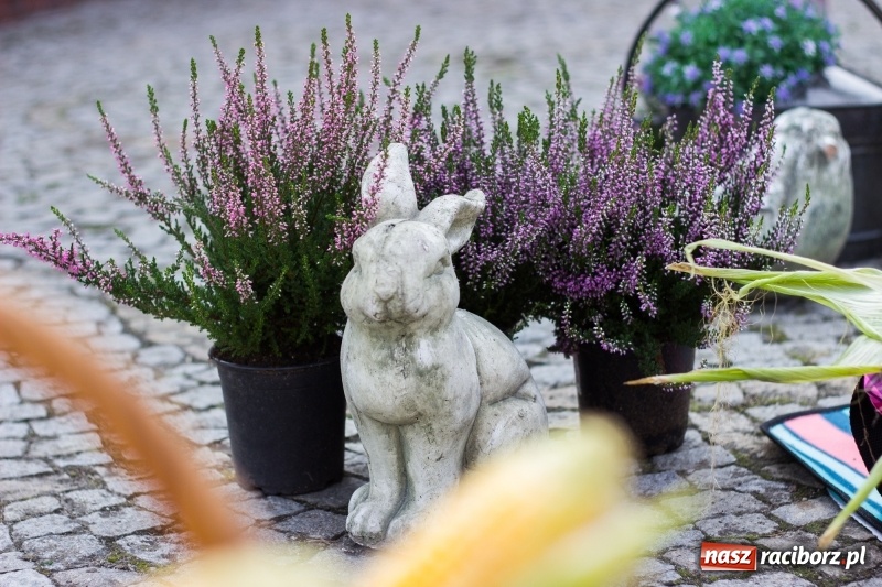 Zdjęcie w galerii na portalu naszraciborz.pl: Dożynki 2017. Skromnie, ale kolorowo w Żerdzinach  wiadomości z regionu