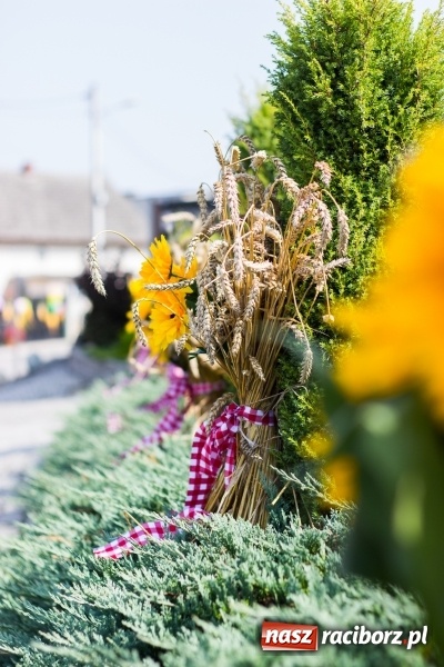 Zdjęcie w galerii na portalu naszraciborz.pl: Dożynki 2017. Skromnie, ale kolorowo w Żerdzinach  wiadomości z regionu