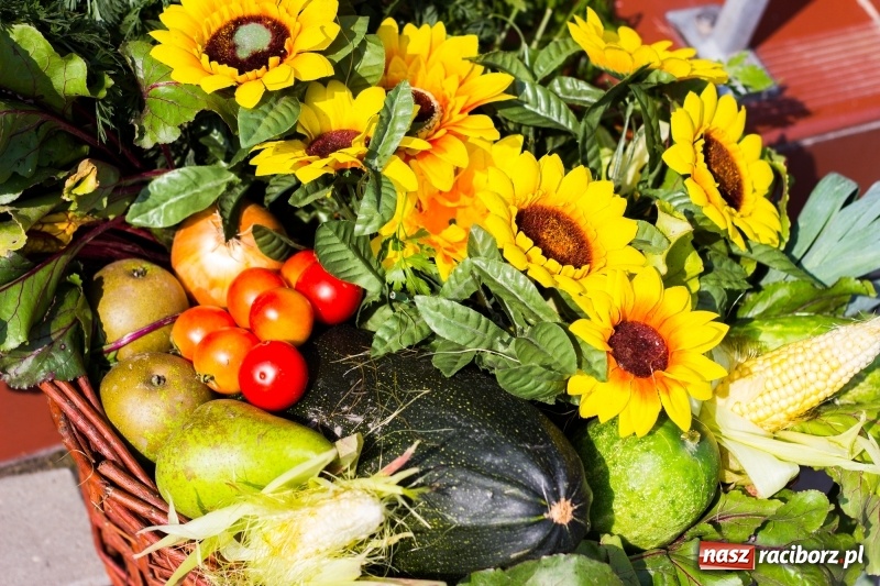 Zdjęcie w galerii na portalu naszraciborz.pl: Dożynki 2017. Skromnie, ale kolorowo w Żerdzinach  wiadomości z regionu