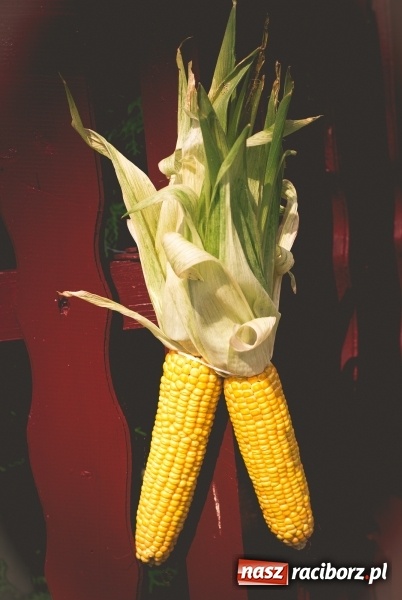 Zdjęcie w galerii na portalu naszraciborz.pl: Dożynki 2017. Skromnie, ale kolorowo w Żerdzinach  wiadomości z regionu