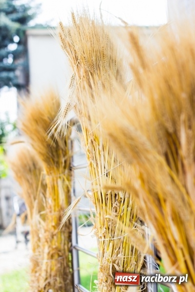 Zdjęcie w galerii na portalu naszraciborz.pl: Dożynki 2017. Skromnie, ale kolorowo w Żerdzinach  wiadomości z regionu