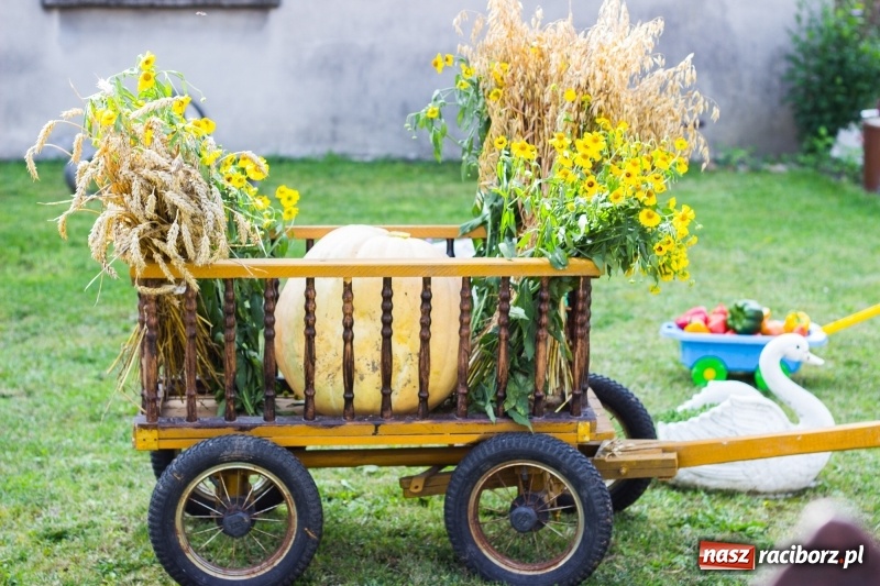Zdjęcie w galerii na portalu naszraciborz.pl: Dożynki 2017. Skromnie, ale kolorowo w Żerdzinach  wiadomości z regionu