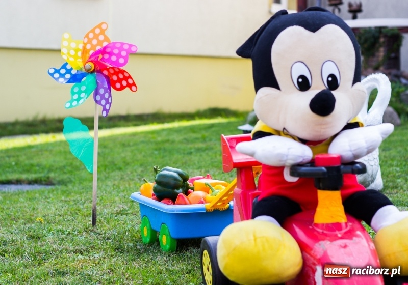 Zdjęcie w galerii na portalu naszraciborz.pl: Dożynki 2017. Skromnie, ale kolorowo w Żerdzinach  wiadomości z regionu