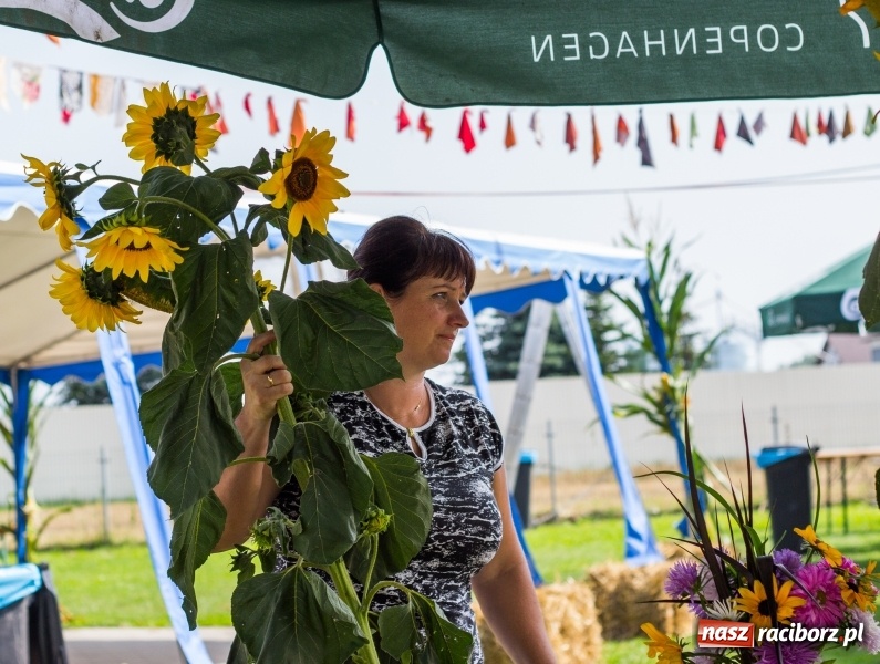 Zdjęcie w galerii na portalu naszraciborz.pl: Dożynki 2017. Skromnie, ale kolorowo w Żerdzinach  wiadomości z regionu