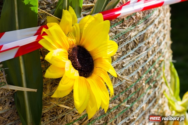 Zdjęcie w galerii na portalu naszraciborz.pl: Dożynki 2017. Skromnie, ale kolorowo w Żerdzinach  wiadomości z regionu