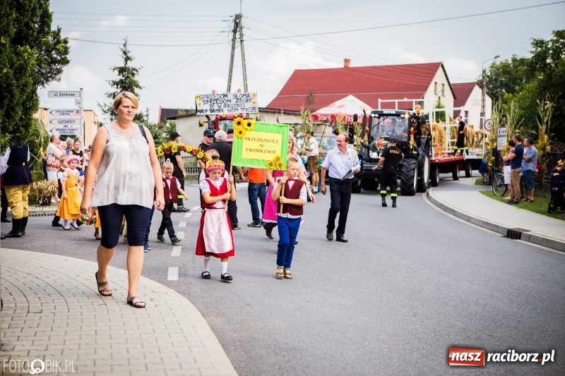 Zdjęcie w galerii na portalu naszraciborz.pl: Dwie orkiestry, kajakarze i drwale, a do tego szarpidruty - kolorowe i radosne dożynki wojewódzkie w Tworkowie  wiadomości z regionu