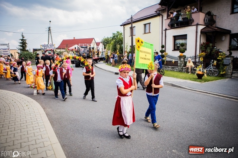 Zdjęcie w galerii na portalu naszraciborz.pl: Dwie orkiestry, kajakarze i drwale, a do tego szarpidruty - kolorowe i radosne dożynki wojewódzkie w Tworkowie  wiadomości z regionu
