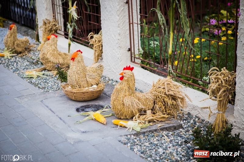 Zdjęcie w galerii na portalu naszraciborz.pl: Dwie orkiestry, kajakarze i drwale, a do tego szarpidruty - kolorowe i radosne dożynki wojewódzkie w Tworkowie  wiadomości z regionu