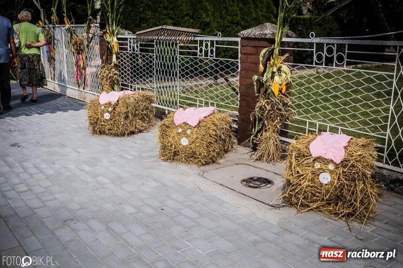 Zdjęcie w galerii na portalu naszraciborz.pl: Dwie orkiestry, kajakarze i drwale, a do tego szarpidruty - kolorowe i radosne dożynki wojewódzkie w Tworkowie  wiadomości z regionu