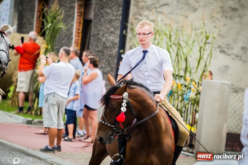 Zdjęcie w galerii na portalu naszraciborz.pl: Dwie orkiestry, kajakarze i drwale, a do tego szarpidruty - kolorowe i radosne dożynki wojewódzkie w Tworkowie  wiadomości z regionu