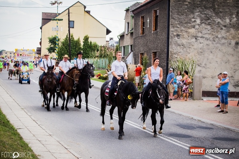 Zdjęcie w galerii na portalu naszraciborz.pl: Dwie orkiestry, kajakarze i drwale, a do tego szarpidruty - kolorowe i radosne dożynki wojewódzkie w Tworkowie  wiadomości z regionu