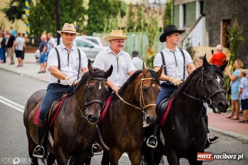 Zdjęcie w galerii na portalu naszraciborz.pl: Dwie orkiestry, kajakarze i drwale, a do tego szarpidruty - kolorowe i radosne dożynki wojewódzkie w Tworkowie  wiadomości z regionu