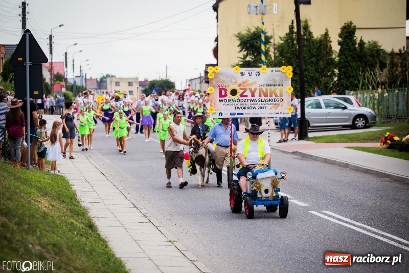 Zdjęcie w galerii na portalu naszraciborz.pl: Dwie orkiestry, kajakarze i drwale, a do tego szarpidruty - kolorowe i radosne dożynki wojewódzkie w Tworkowie  wiadomości z regionu