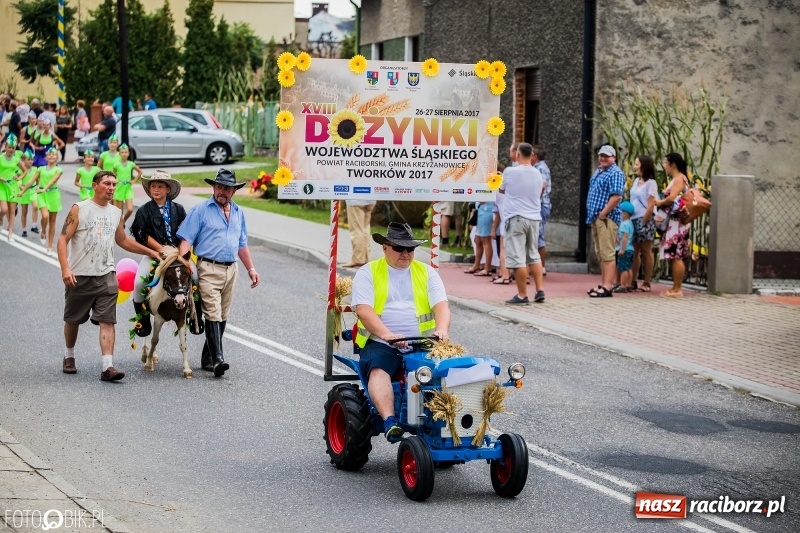 Zdjęcie w galerii na portalu naszraciborz.pl: Dwie orkiestry, kajakarze i drwale, a do tego szarpidruty - kolorowe i radosne dożynki wojewódzkie w Tworkowie  wiadomości z regionu