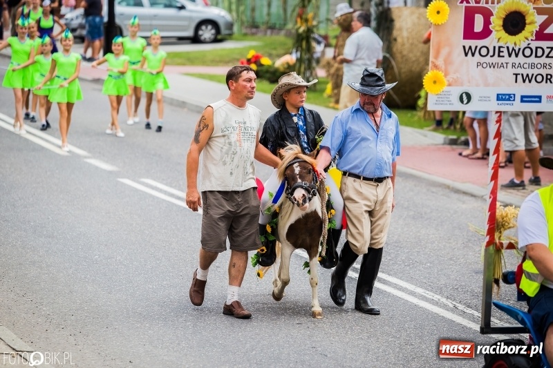 Zdjęcie w galerii na portalu naszraciborz.pl: Dwie orkiestry, kajakarze i drwale, a do tego szarpidruty - kolorowe i radosne dożynki wojewódzkie w Tworkowie  wiadomości z regionu